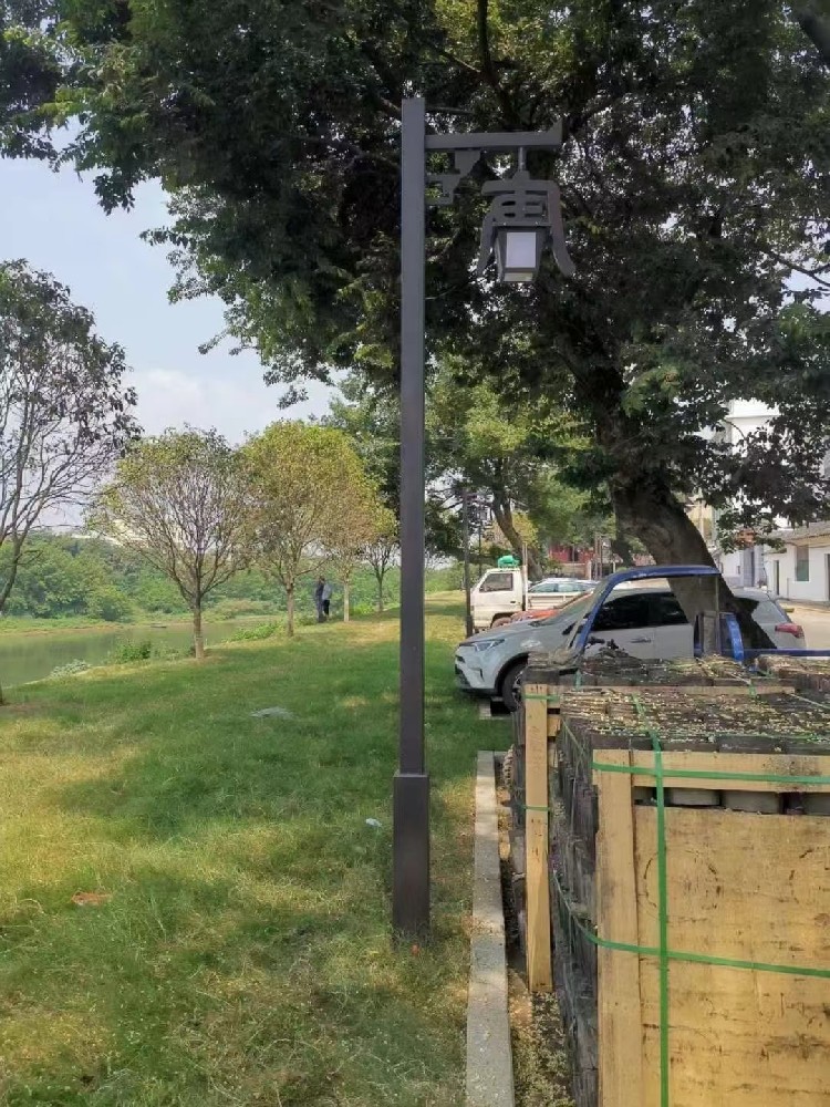 淄博某小區(qū)4米庭院燈